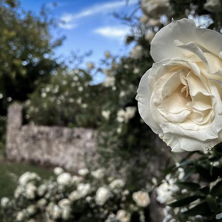 Santoro Country House Hotel Castiglione De Sicilia Bagian luar foto